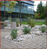 white stone pebbles