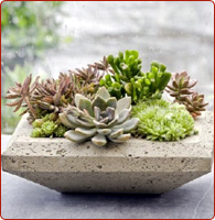 stone flower pots